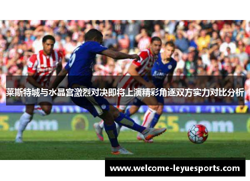 莱斯特城与水晶宫激烈对决即将上演精彩角逐双方实力对比分析