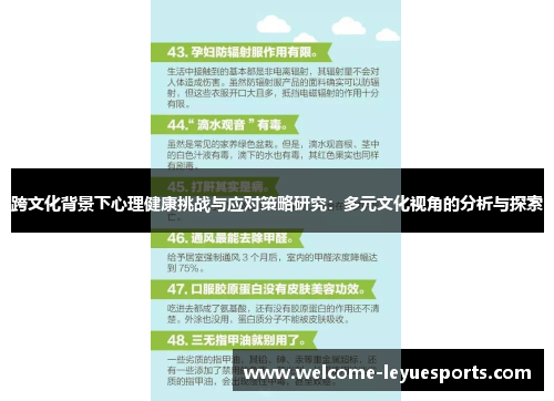 跨文化背景下心理健康挑战与应对策略研究：多元文化视角的分析与探索