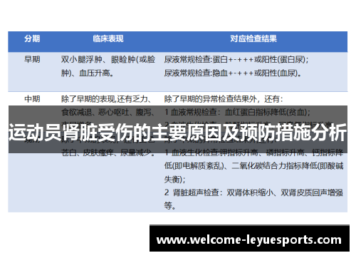 运动员肾脏受伤的主要原因及预防措施分析