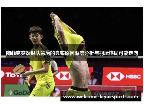 陶菲克突然退队背后的真实原因深度分析与羽坛格局可能走向