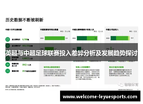 英超与中超足球联赛投入差异分析及发展趋势探讨