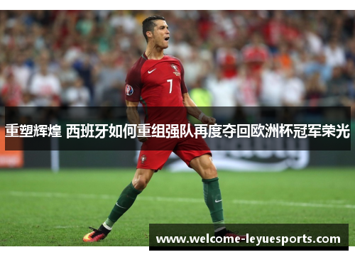 重塑辉煌 西班牙如何重组强队再度夺回欧洲杯冠军荣光 重塑辉煌 西班牙如何重组强队再度夺回欧洲杯冠军荣光